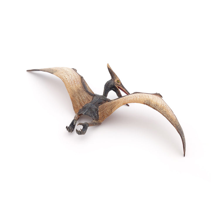 Dinosaurier:  Pteranodon 23.5x9cm (55006)