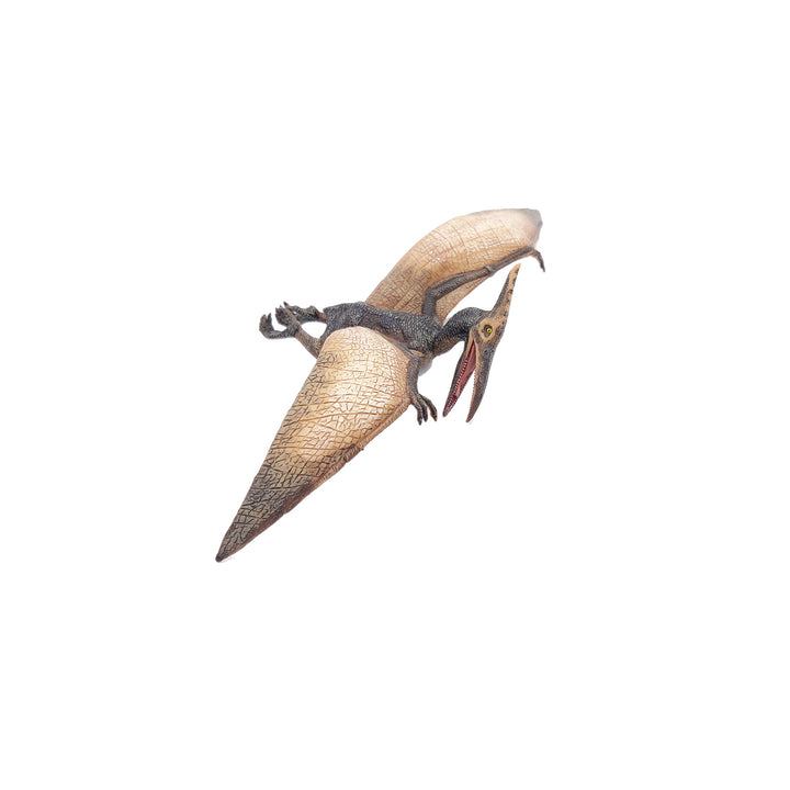 Dinosaurier:  Pteranodon 23.5x9cm (55006)