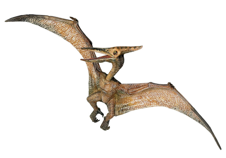 Dinosaurier:  Pteranodon 23.5x9cm (55006)