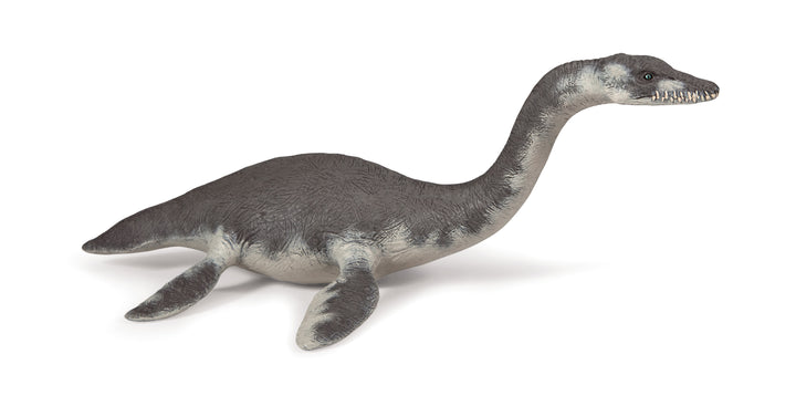 Dinosaurier: Plesiosaurier  ca.  22x13.5x8 cm (55021)