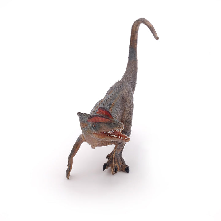 Dinosaurier:  Dilophosaurus 14 cm (55035)