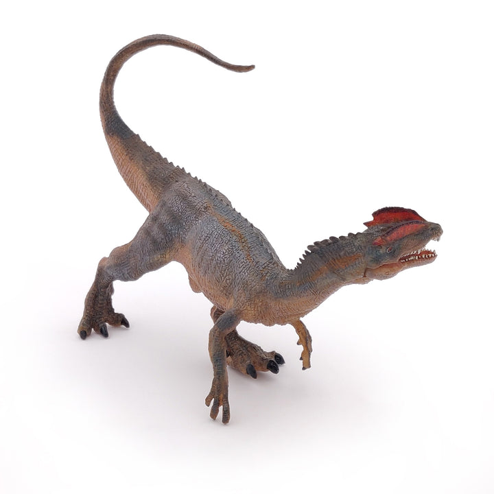 Dinosaurier:  Dilophosaurus 14 cm (55035)
