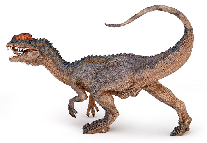 Dinosaurier:  Dilophosaurus 14 cm (55035)