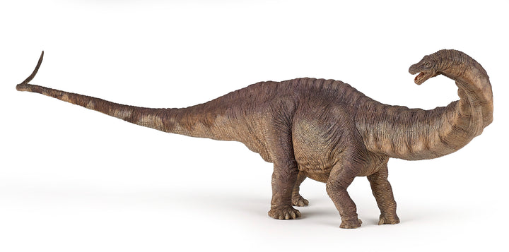 Dinosaurier: Apatosaurus 45 cm (55039)