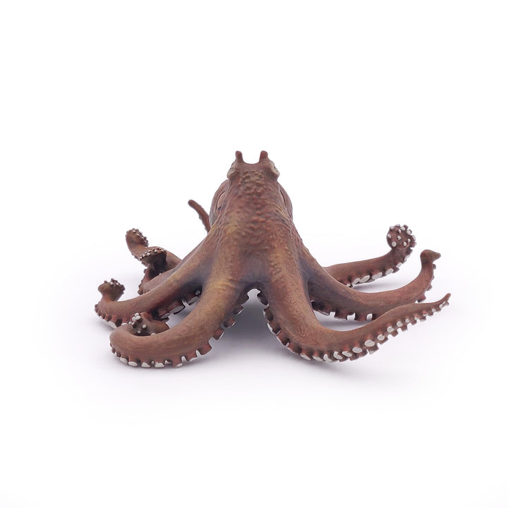 Meereswelt: Octopus 19x15x6.7 cm (56013)