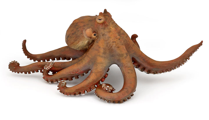 Meereswelt: Octopus 19x15x6.7 cm (56013)