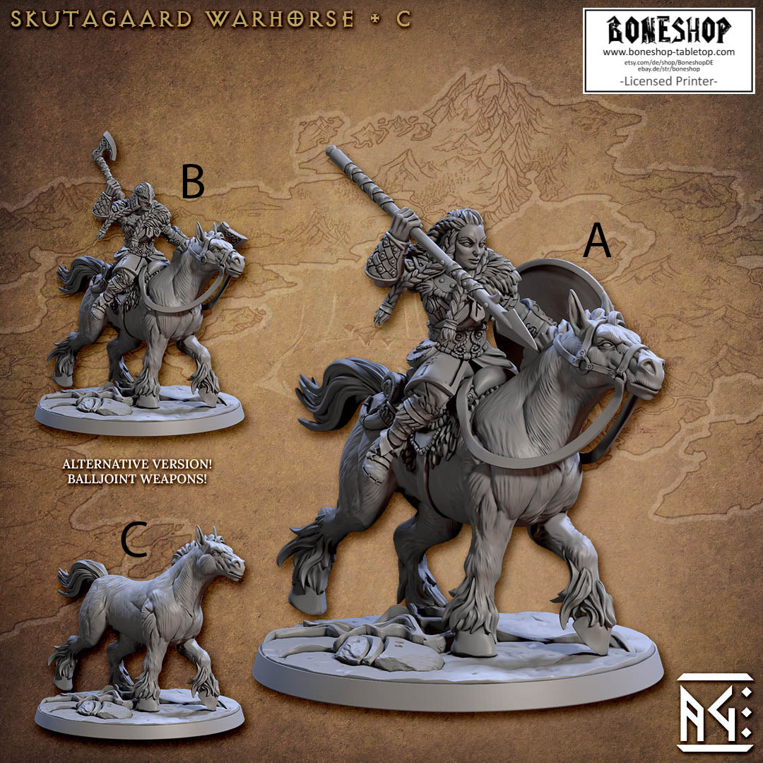 Northmen Saga „Skutagaard Warhorse C- Version C" 28mm-35mm | Boneshop