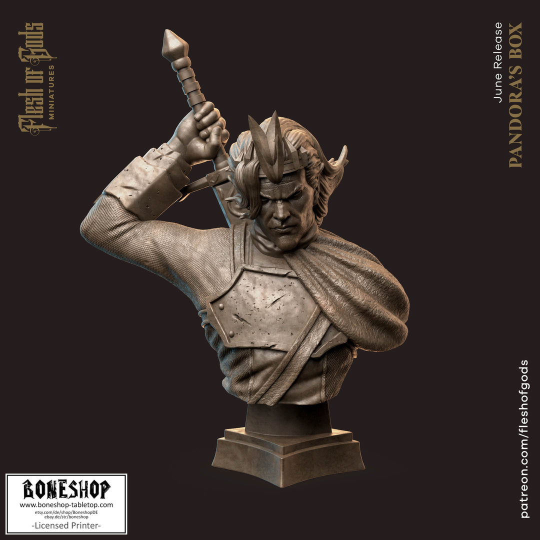Pandoras Box „Cedric Liarel Bust“ 28mm-35mm | RPG | DnD | Boneshop