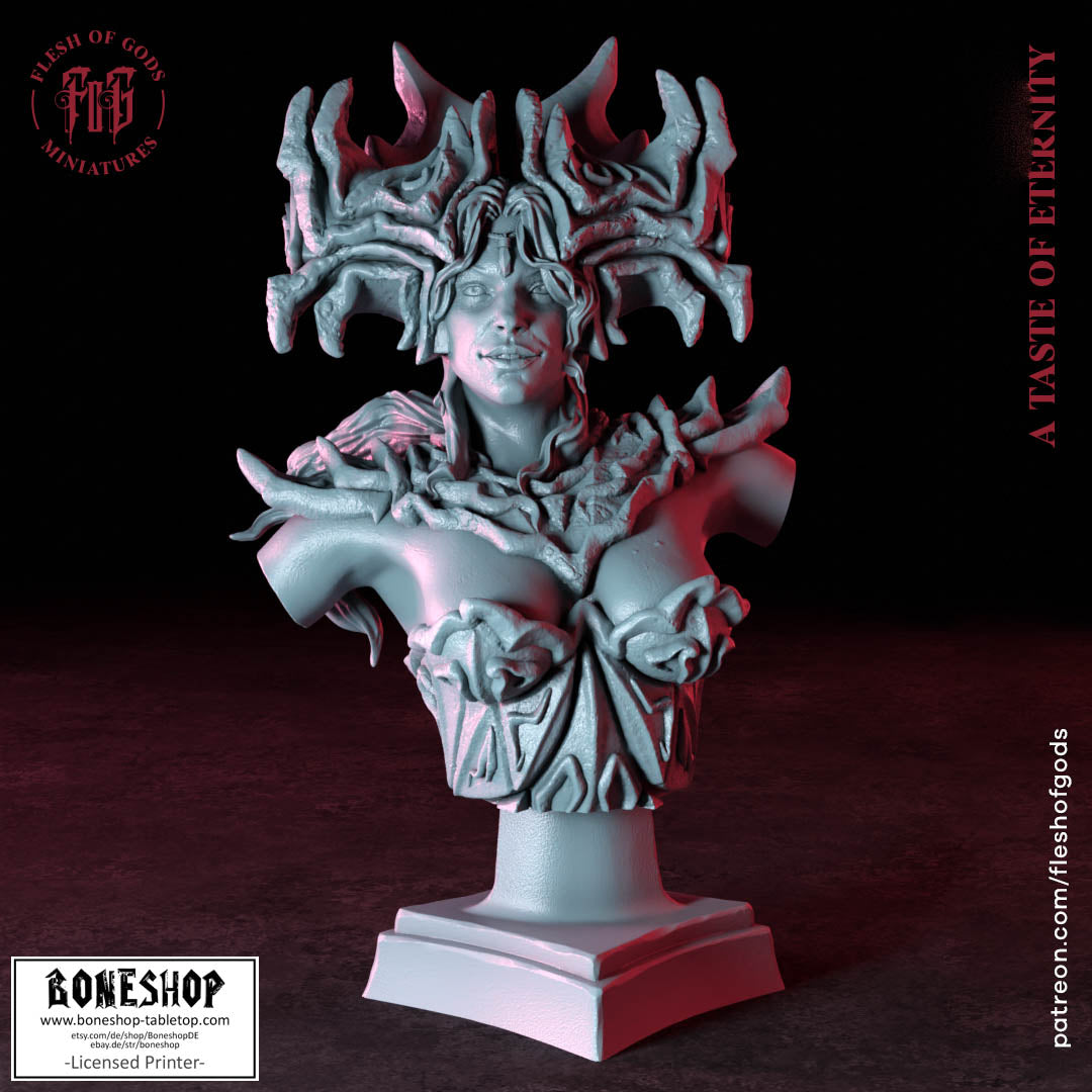 Taste of Eternity „The Witch BUST“ 28mm-35mm | RPG | DnD | Boneshop