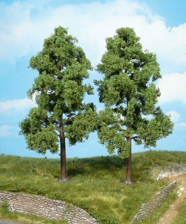 Heiki: 2 Buchen 18 CM (1712)