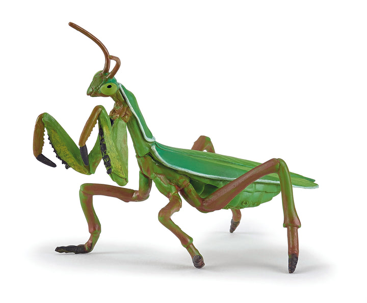 Gartentiere: Gottesanbeterin 11cm (50244)