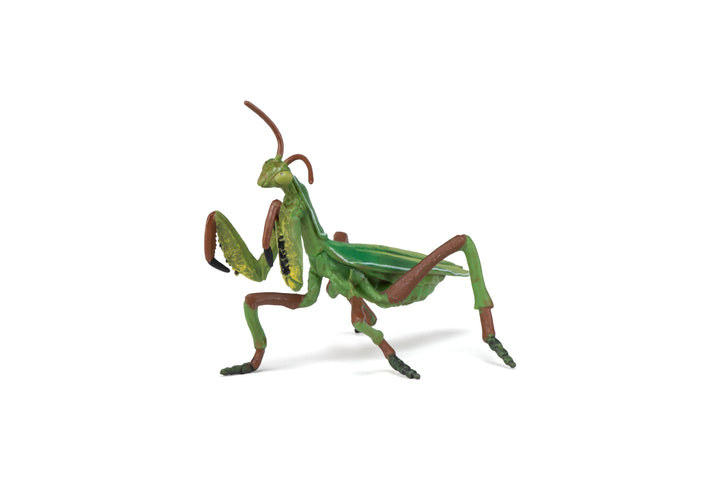 Gartentiere: Gottesanbeterin 11cm (50244)