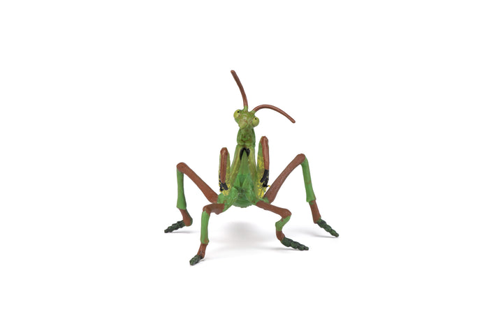 Gartentiere: Gottesanbeterin 11cm (50244)