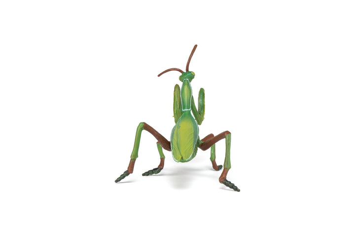 Gartentiere: Gottesanbeterin 11cm (50244)