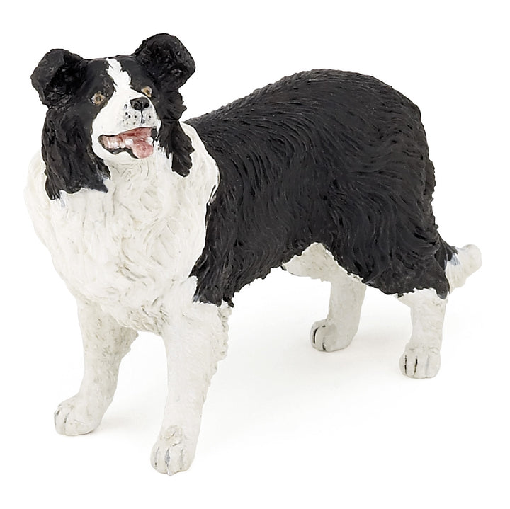 Haustiere : Border Collie  10 cm (54008)