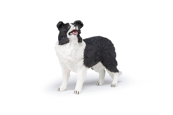 Haustiere : Border Collie  10 cm (54008)