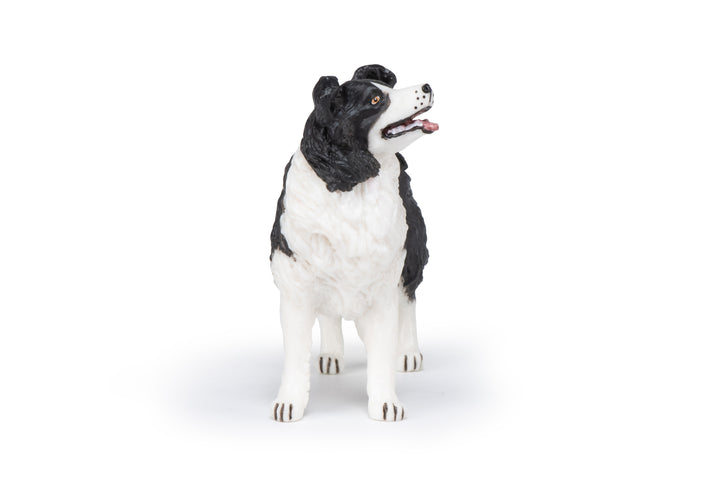 Haustiere : Border Collie  10 cm (54008)