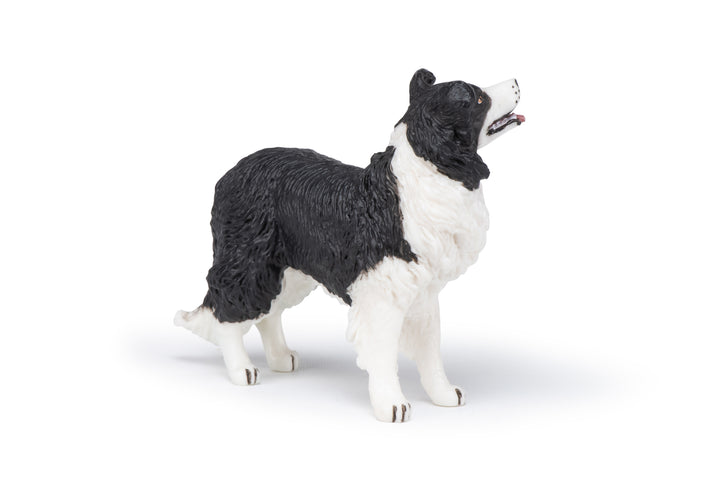 Haustiere : Border Collie  10 cm (54008)