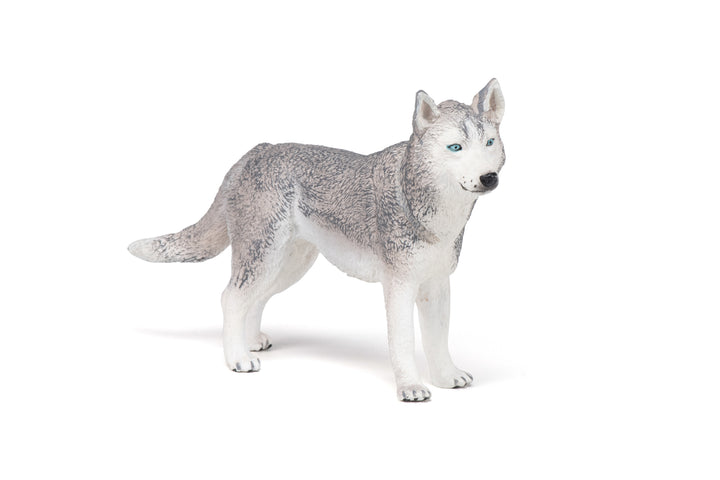 Haustiere : Siberian Husky 10 cm (54035)