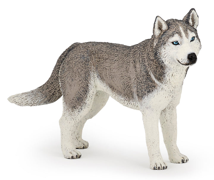 Haustiere : Siberian Husky 10 cm (54035)