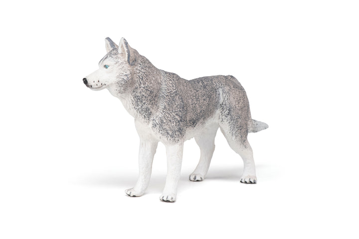 Haustiere : Siberian Husky 10 cm (54035)