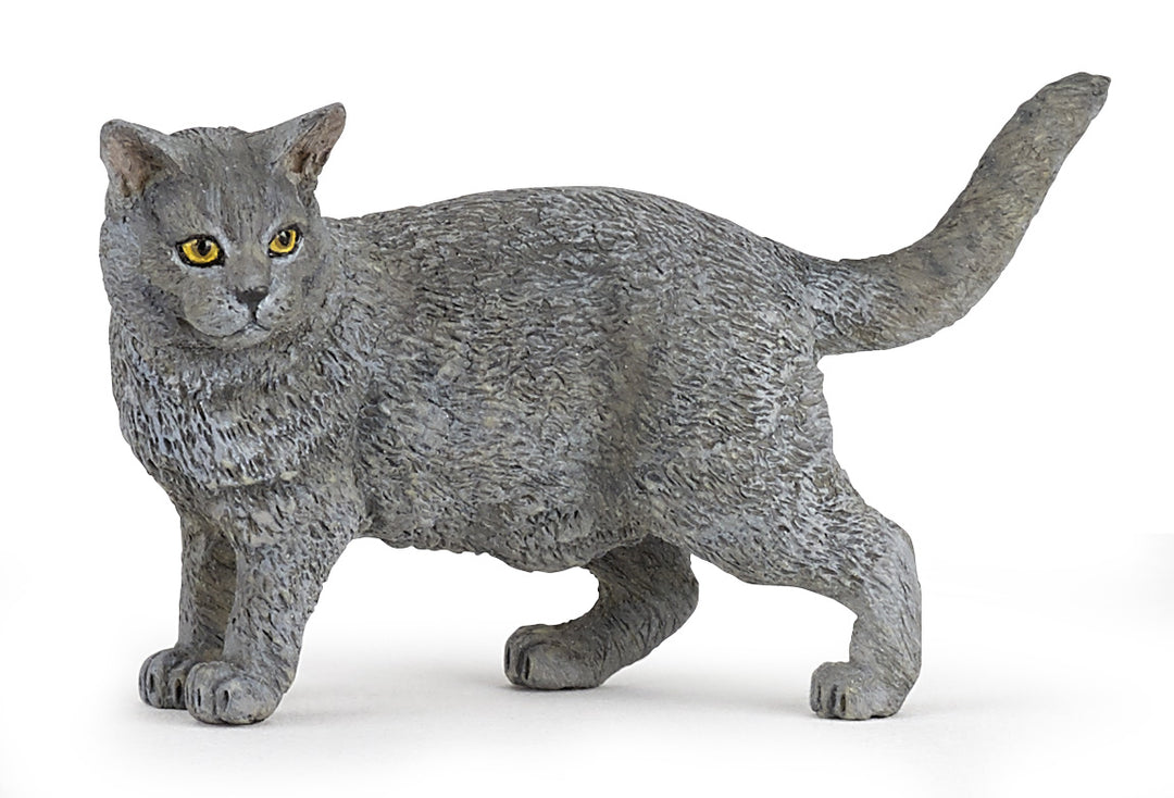 Haustiere : Chartreux Katze 8 cm (54040)