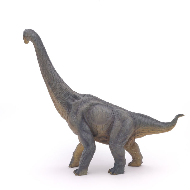 Dinosaurier: Brachiosaurus 36 cm (55030)