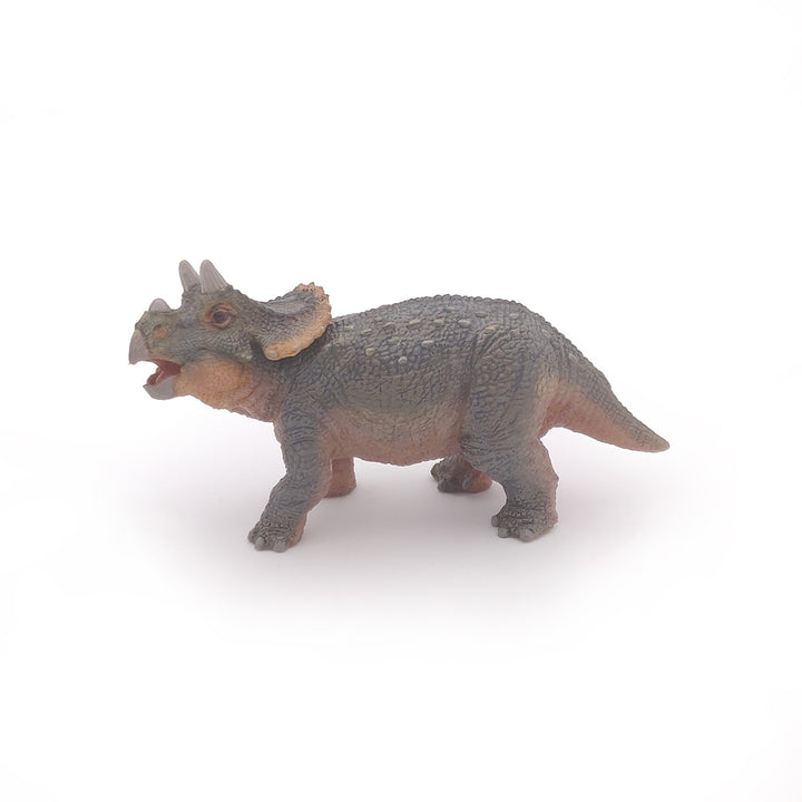 Dinosaurier: Junger Triceratops 11 cm (55036)