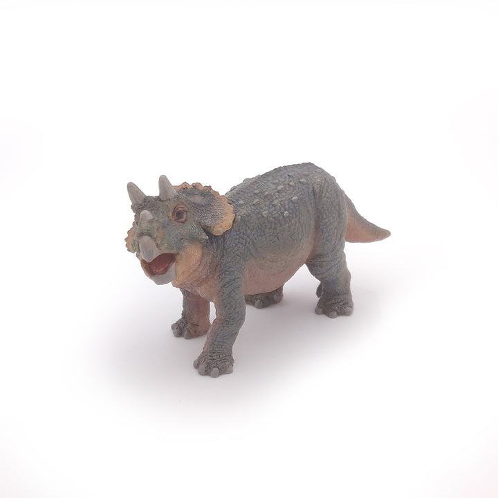 Dinosaurier: Junger Triceratops 11 cm (55036)