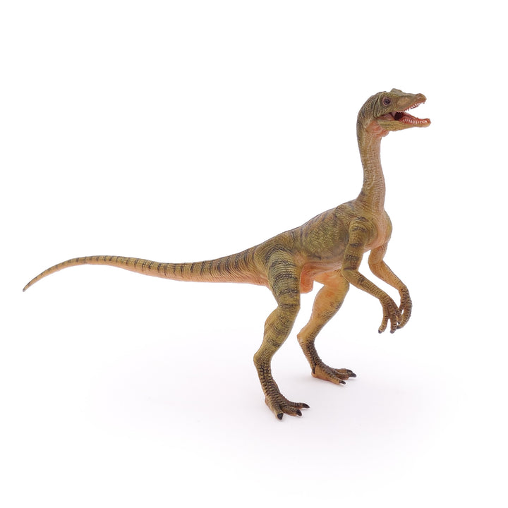 Dinosaurier:  Compsognathus 15 cm (55072)