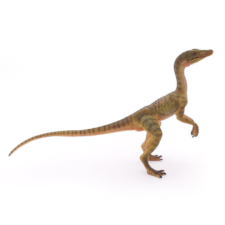 Dinosaurier:  Compsognathus 15 cm (55072)