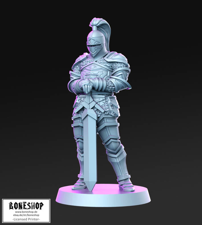 Reinforcement Pack „Aaron Knight" RN Estudio | 28mm - 35mm | RPG | Boneshop