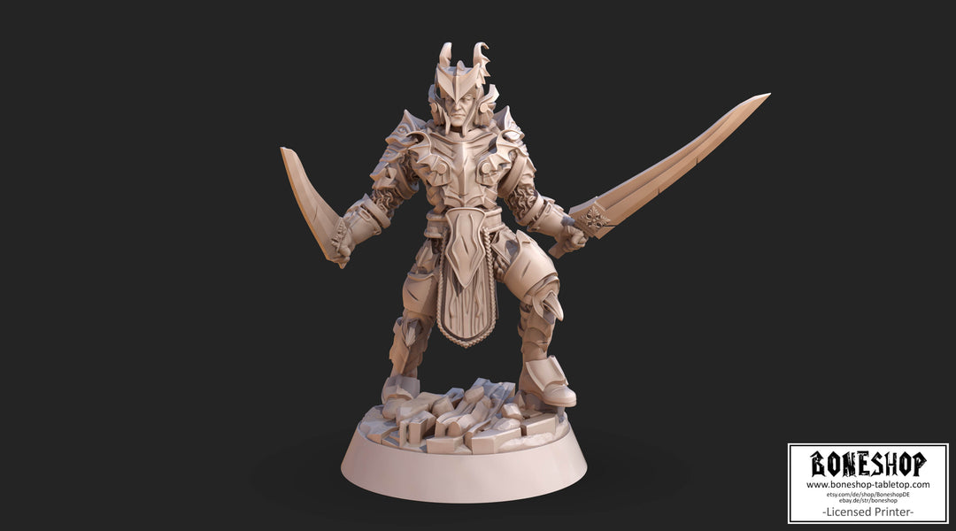 Arcanum Alliance „Aldruin" 28mm - 32mm | RPG | Tabletop | Boneshop