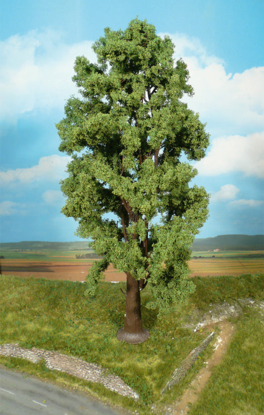 Heiki: Bergahorn 35 CM (1743)