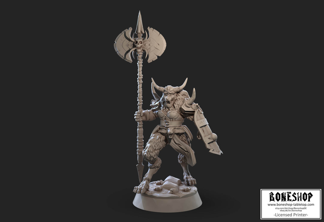 Silvercrest League „Mjoll V1" 28mm - 32mm | RPG | Tabletop | Boneshop