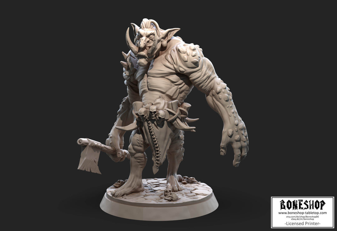 Harland Heights „Mountain Troll" 28mm - 32mm | RPG | Tabletop | Boneshop