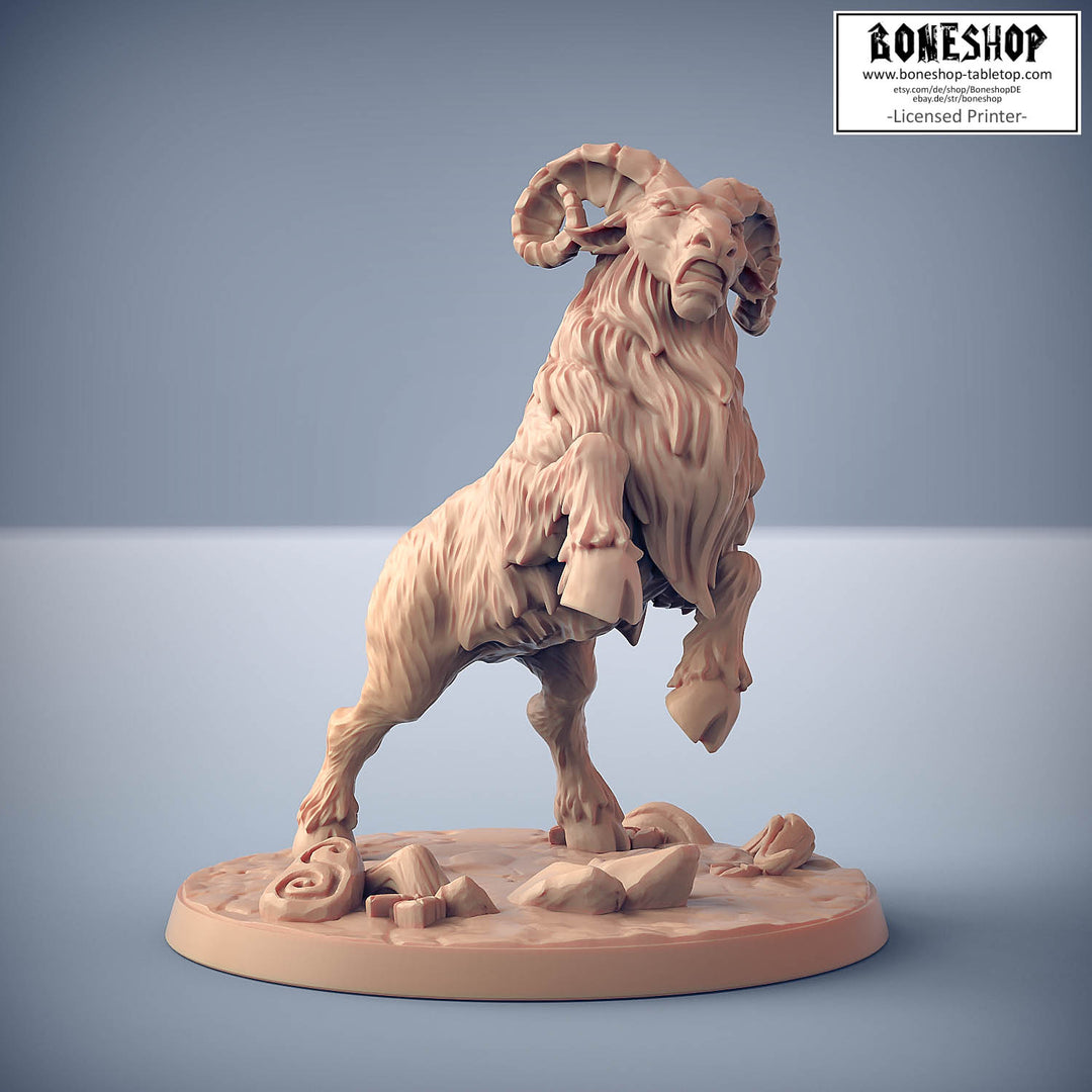 Dwarfs of Skutagaard „Dwarven Ram C" 28mm-35mm | RPG | DnD | Boneshop