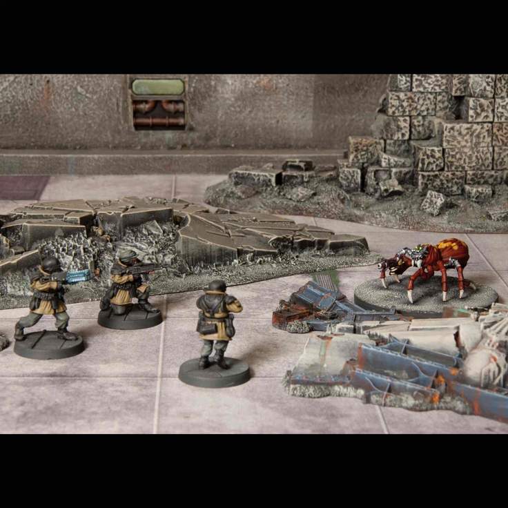 Classic Fantasy „Giant Spiders“ BASE-Bundle Wargames Atlantic | 28mm | Boneshop