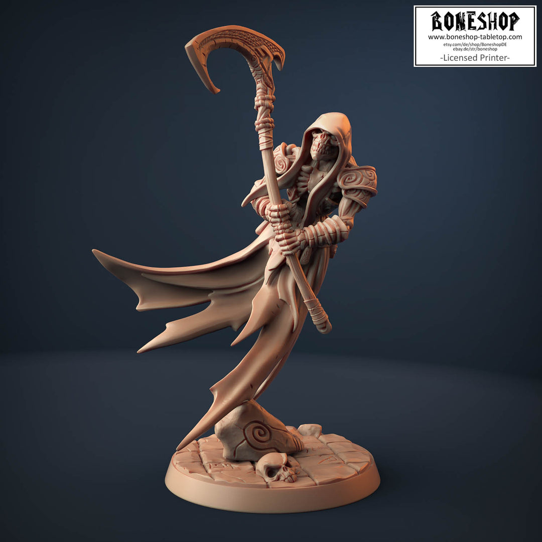 Lich Lord Darkness „Skutagaard Wraith C“ 28mm-35mm | RPG | Boneshop