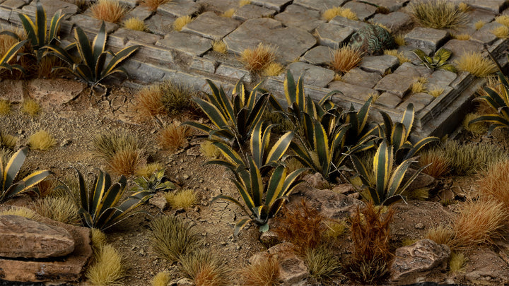 Laser Plants : Agave