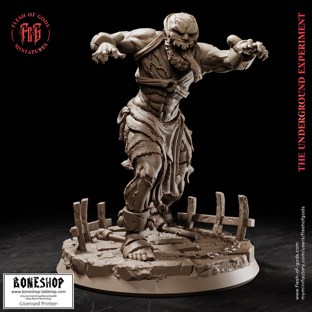 Underground Experiment „Biter Pose 02“ 28mm-35mm | RPG | Boneshop