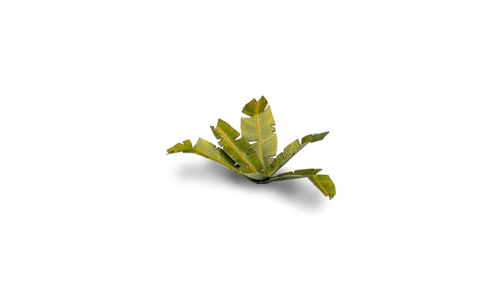 Laser Plants : Banana Tree