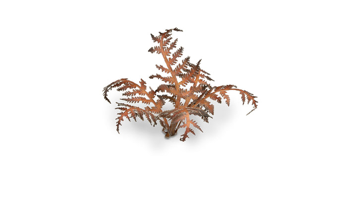 Laser Plants : Dry Bracken