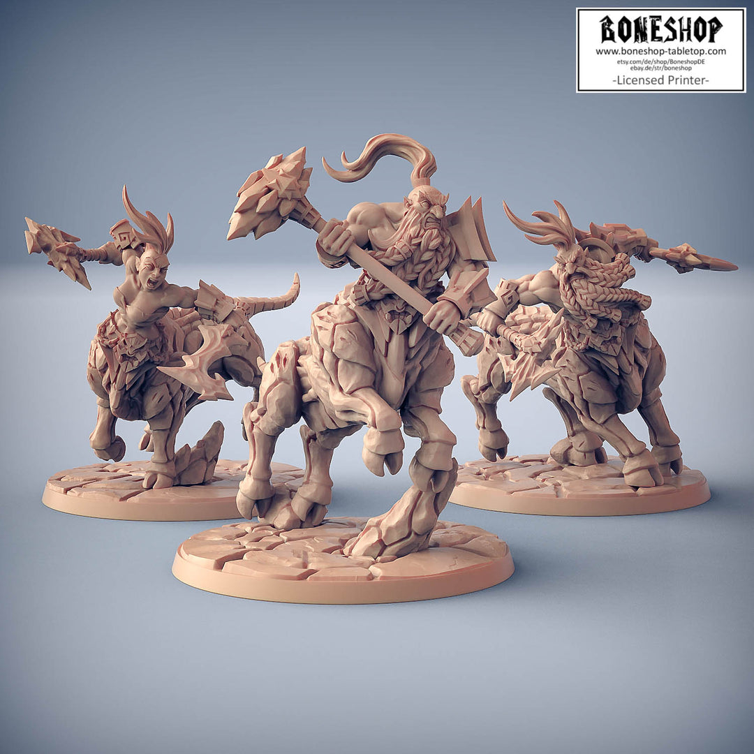 Dumlok Flameseekers „Dumloktaur BUNDLE" 28mm-35mm | RPG | Boneshop