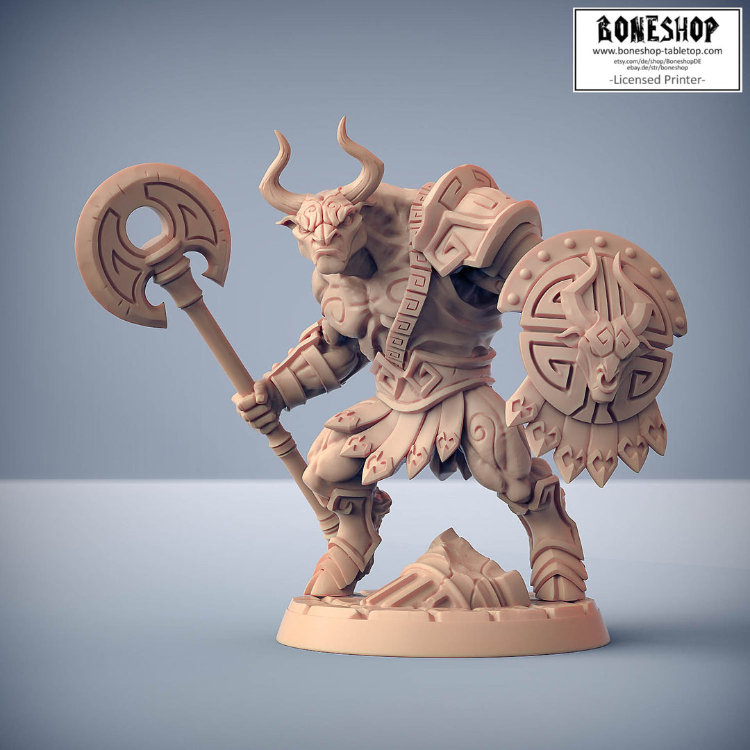 Order of the Labyrinth „Labyrinth Minoc A (V1)" 28mm-35mm | RPG | DnD | Boneshop