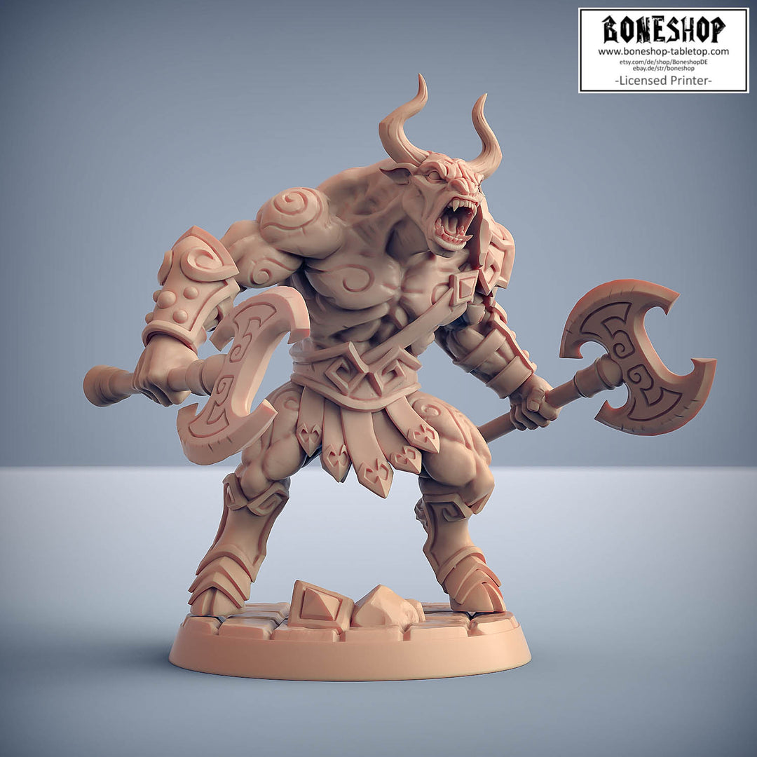 Order of the Labyrinth „Labyrinth Minoc B (V1)" 28mm-35mm | RPG | DnD | Boneshop