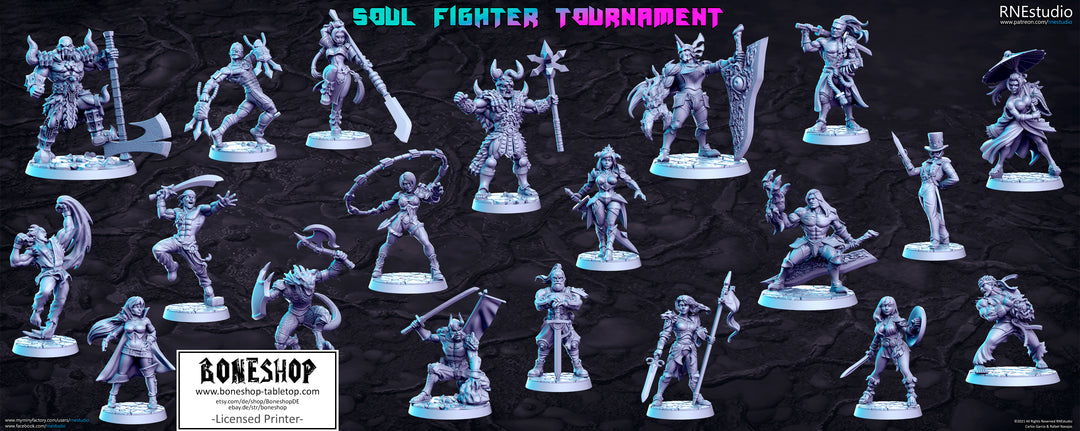 Soul Fighter Tournament