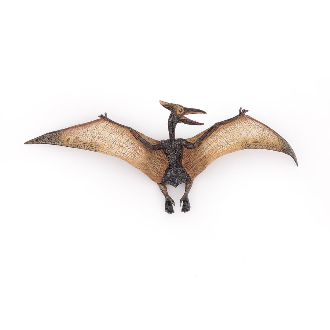 Dinosaurier:  Pteranodon 23.5x9cm (55006)