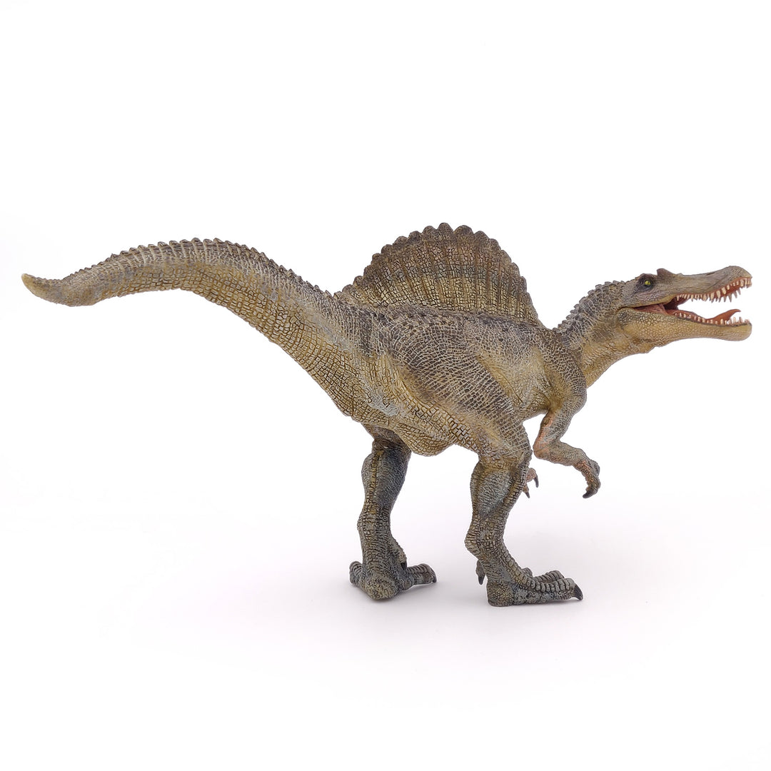 Dinosaurier:  Spinosaurus  ca. 31x17cm (55011)