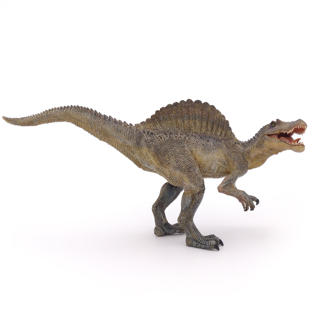 Dinosaurier:  Spinosaurus  ca. 31x17cm (55011)